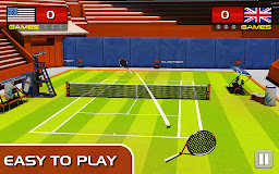 Play Tennis