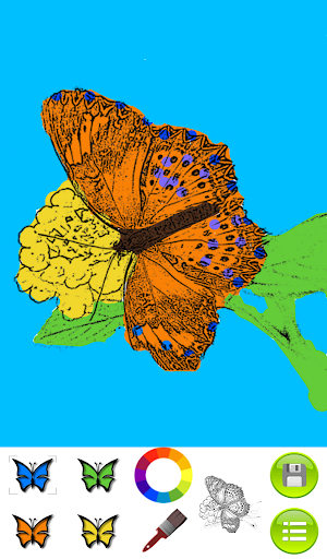 Coloring Book Butterflies