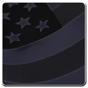 US Citizenship Questionnaire 1.1