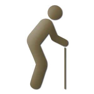 Age Calculator 1.3