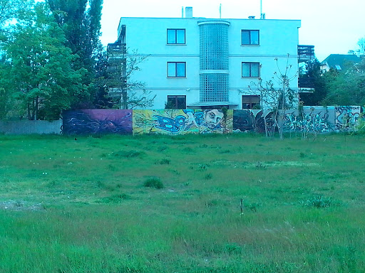 Graffity Wall Zugló