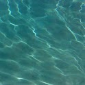 Water LWP logo
