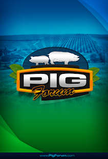 Pig Forum - náhled
