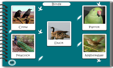 Fun With Flashcard poster 6