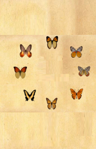 Find similar butterflies