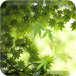 綠葉飄落春天壁紙 個人化 App LOGO-APP開箱王