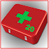 Homeopathic aid kit 201.2