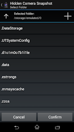 Hidden Camera Snapshot poster 7