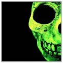 Skull Wallpapers icon