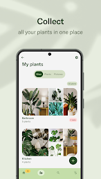 Planta - Care for your plants 6