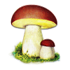 GSePTxXxsby6z8eRFpPMh7x3_uVRk5rkoDBJrVGxVYVpV5zDnzZ2hotXAdP00Don3UY=w100