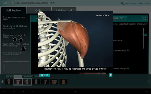 【免費教育App】Practice Anatomy Lab (PAL3)-APP點子