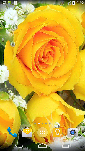 【免費個人化App】Yellow Roses Live Wallpaper-APP點子