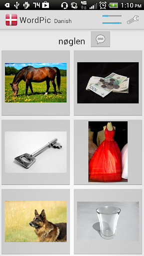 Learn Danish with WordPic