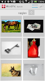 Learn Danish with WordPic