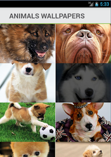 Lastest Animals Wallpapers Backgrounds APK