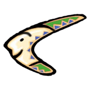 Boomerang Pro logo