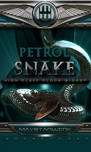 petrol snake clock widget