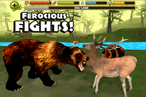 Wildlife Simulator: Bear(圖4)-速報App
