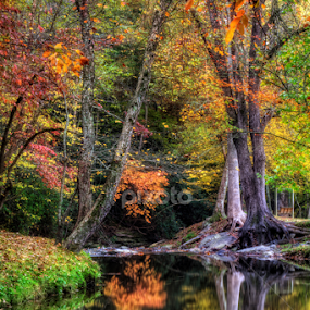 Meeks Park in Fall by Greg Mimbs - City,  Street & Park City Parks