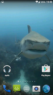 Sharks. Video Wallpaper(圖5)-速報App