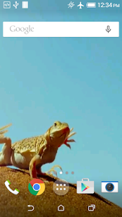 How to get Funny Lizard Live Wallpaper 3.0 apk for bluestacks