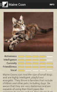 Cat Breeds(圖4)-速報App