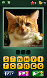 Pic the Word! - Picture Puzzles