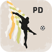 Spanish Primera Division  Icon