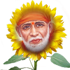 SAIBABA in Sunflower Garden
