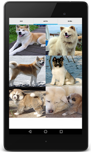 Dog Sounds for Dog(圖9)-速報App