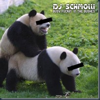 Panda+Love