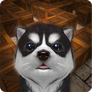 Cu Pup Maze Runner 1.0.2 Icon