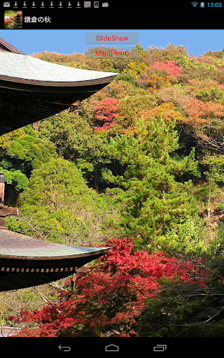 Autumn leaves of Kamakura