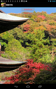 Autumn leaves of Kamakura Screenshots 4