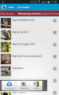 Birds of Prey Sounds Free(圖3)-速報App