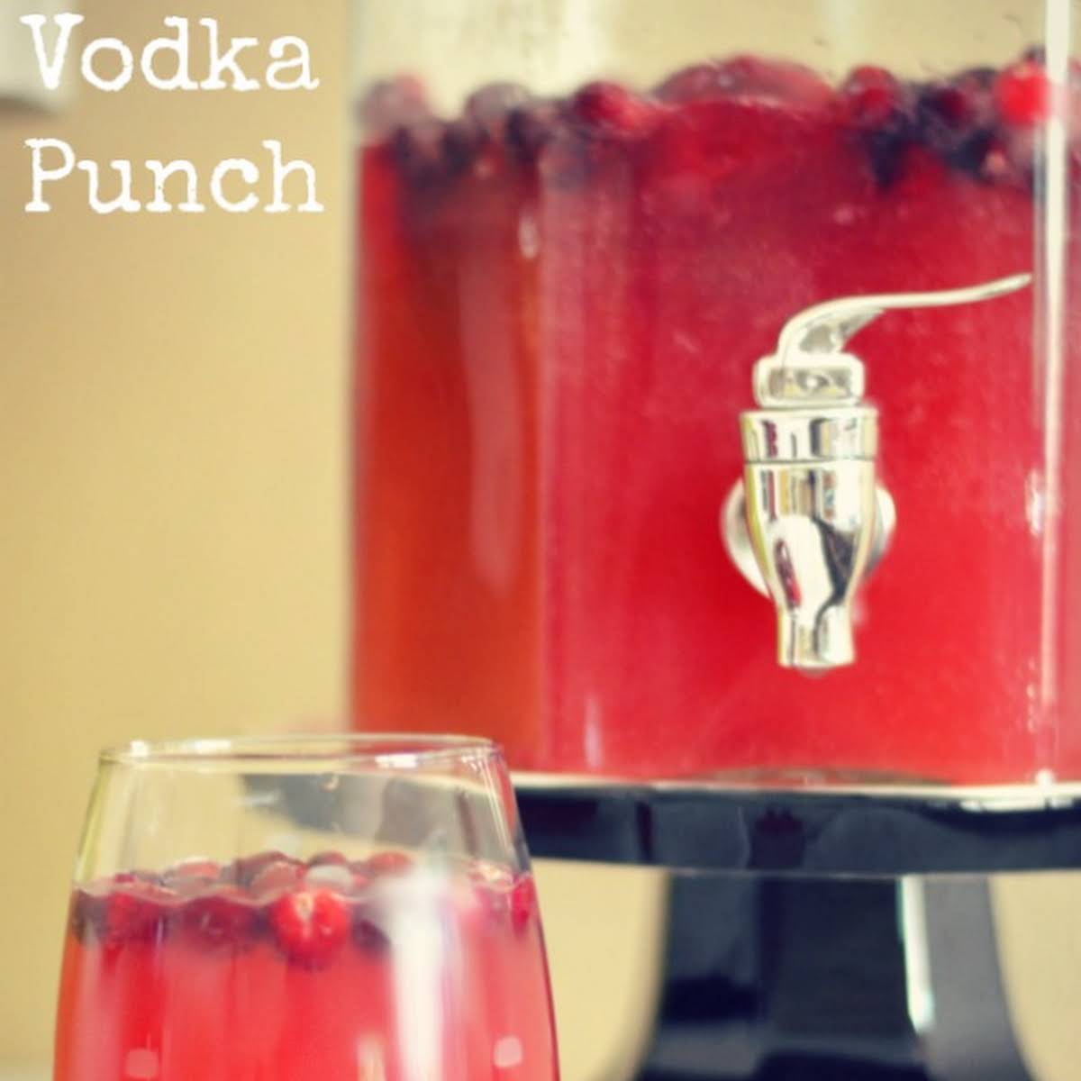 Cranberry Juice Punch Recipes With Alcohol Dandk Organizer