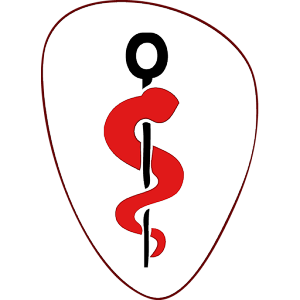 Concours Infirmier 2016 logo