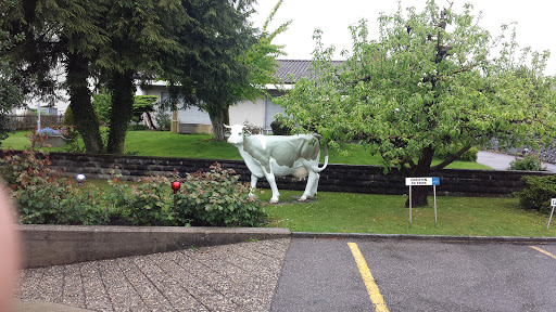 Cow Statue Gerlafingen
