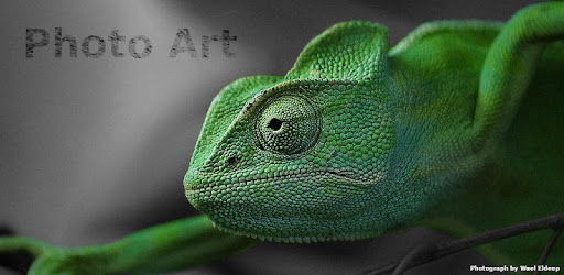 Photo Art - Color Effects -  apk apps