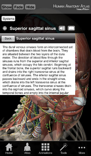 Human Anatomy Atlas SP