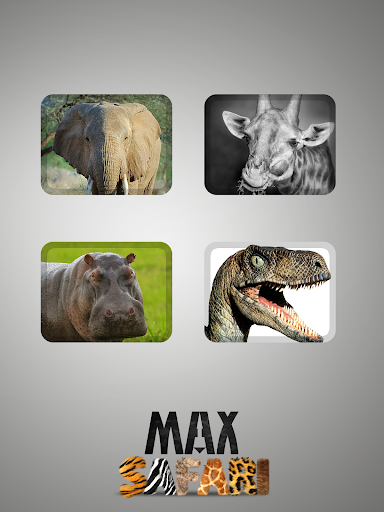 Max Safari