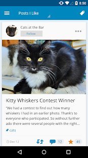 WordPress - screenshot thumbnail