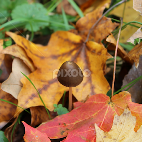 by Karin Pelton - Uncategorized All Uncategorized