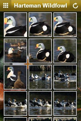 【免費媒體與影片App】Harteman Wildfowl (waterbirds)-APP點子