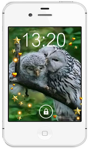 Owls Love HD live wallpaper