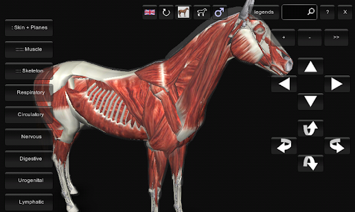 3D Horse Anatomy Software(圖4)-速報App