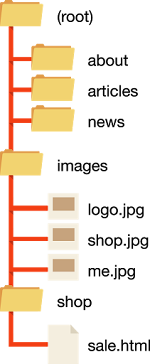 site structure