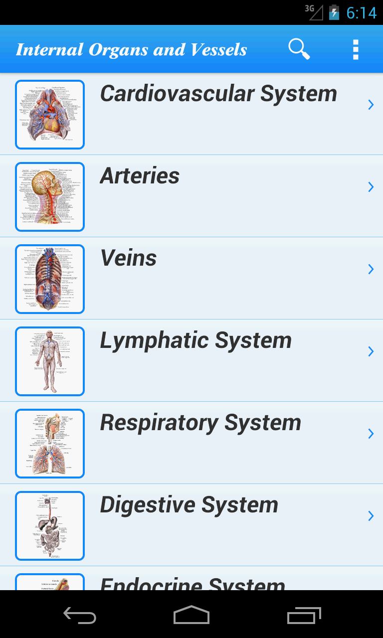 Human Anatomy II Screen 1
