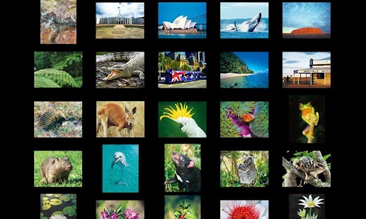 How to install Steve Parish Postcards patch 1.0.1 apk for laptop